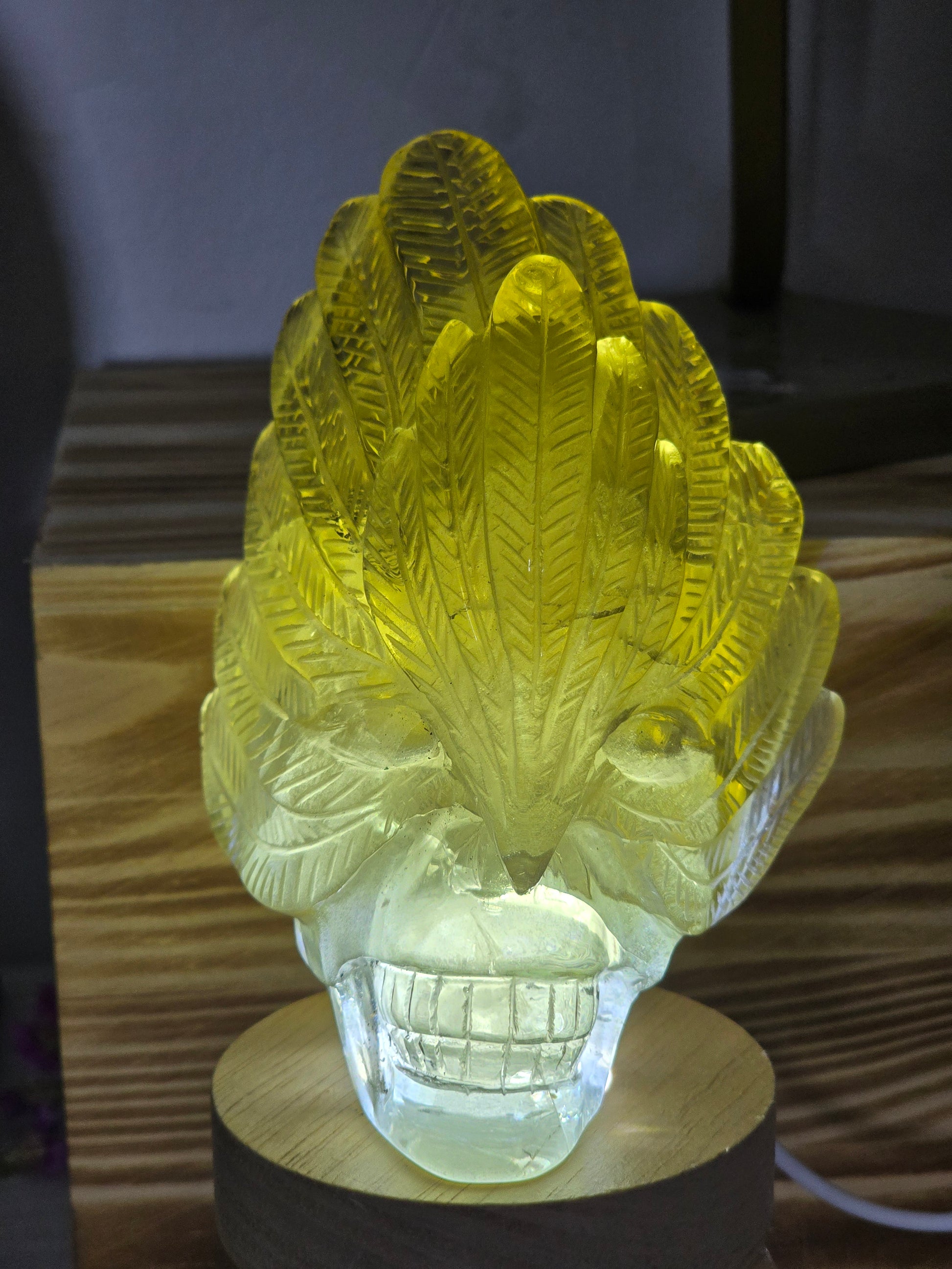 Citrine Feather Headdress Skull Art