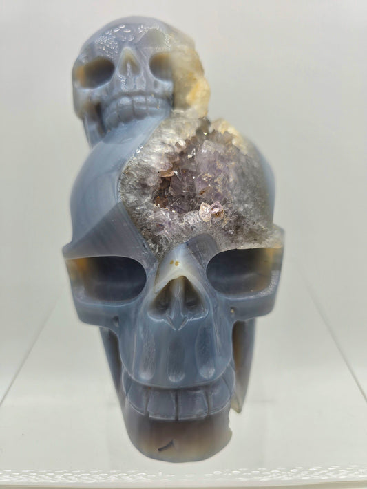 Amethyst Druzy Blue chalcedony Skull
