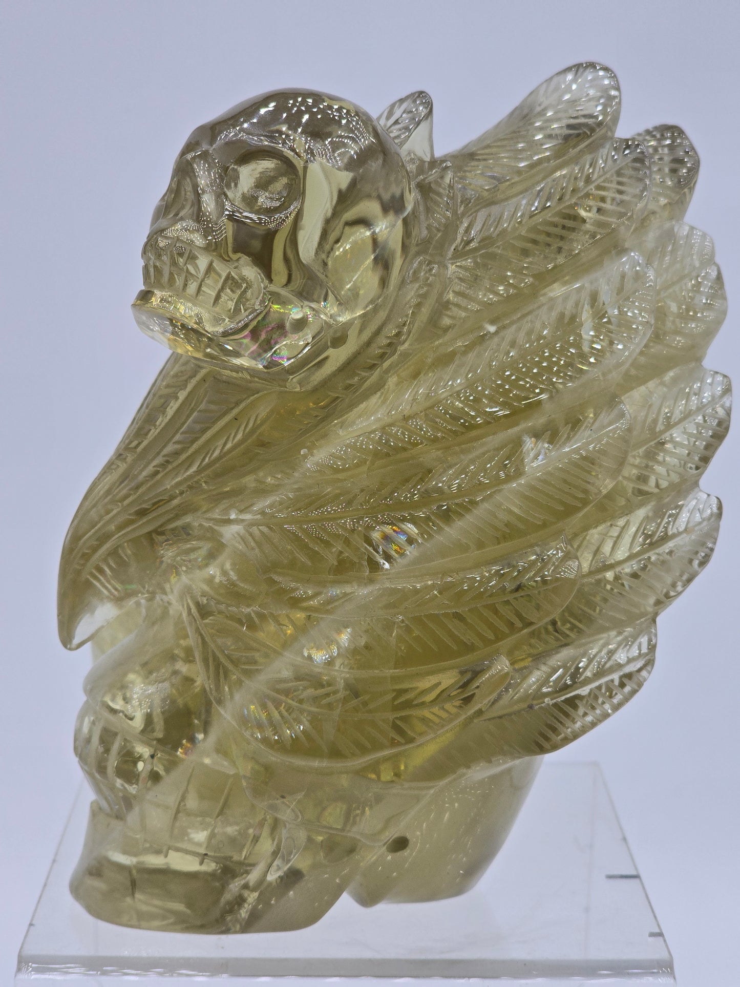 Citrine Feather Headdress Skull Art