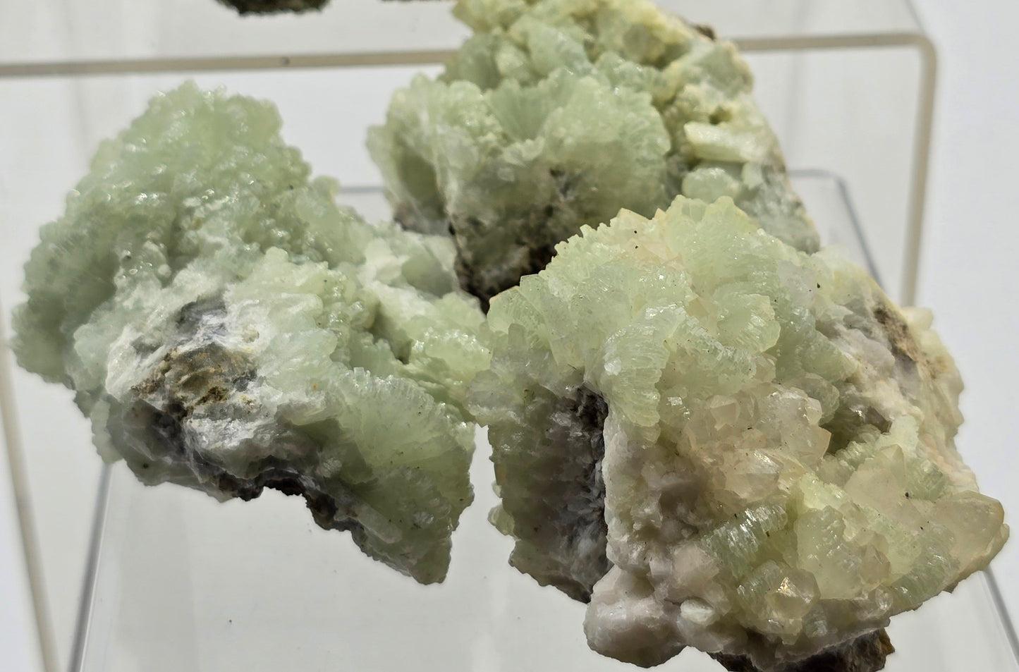 Prehnite crystals on the matrix
