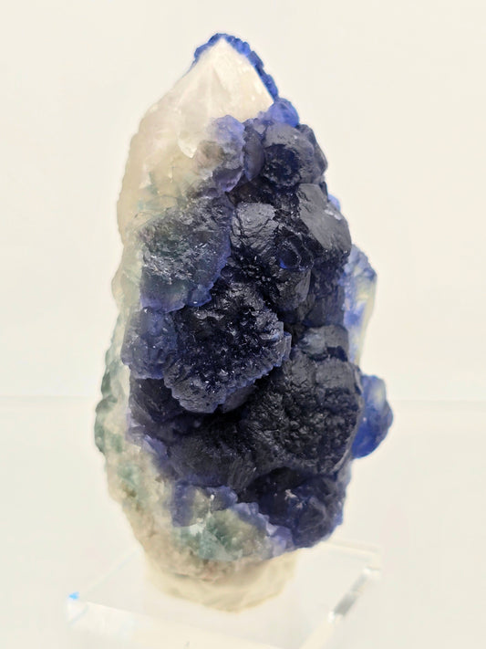 Blue Botryoidal Fluorite