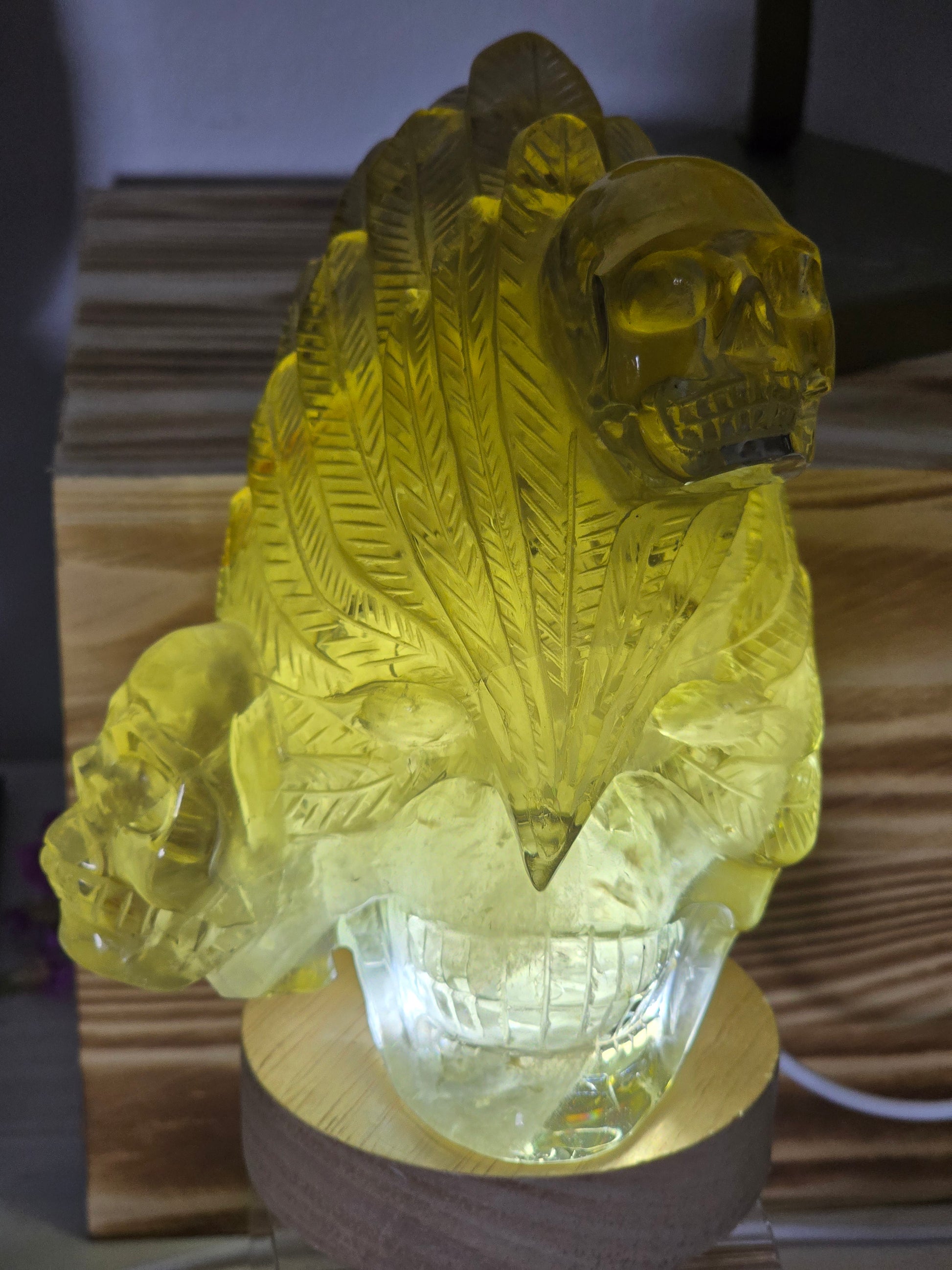 Citrine Feather Headdress Skull Art