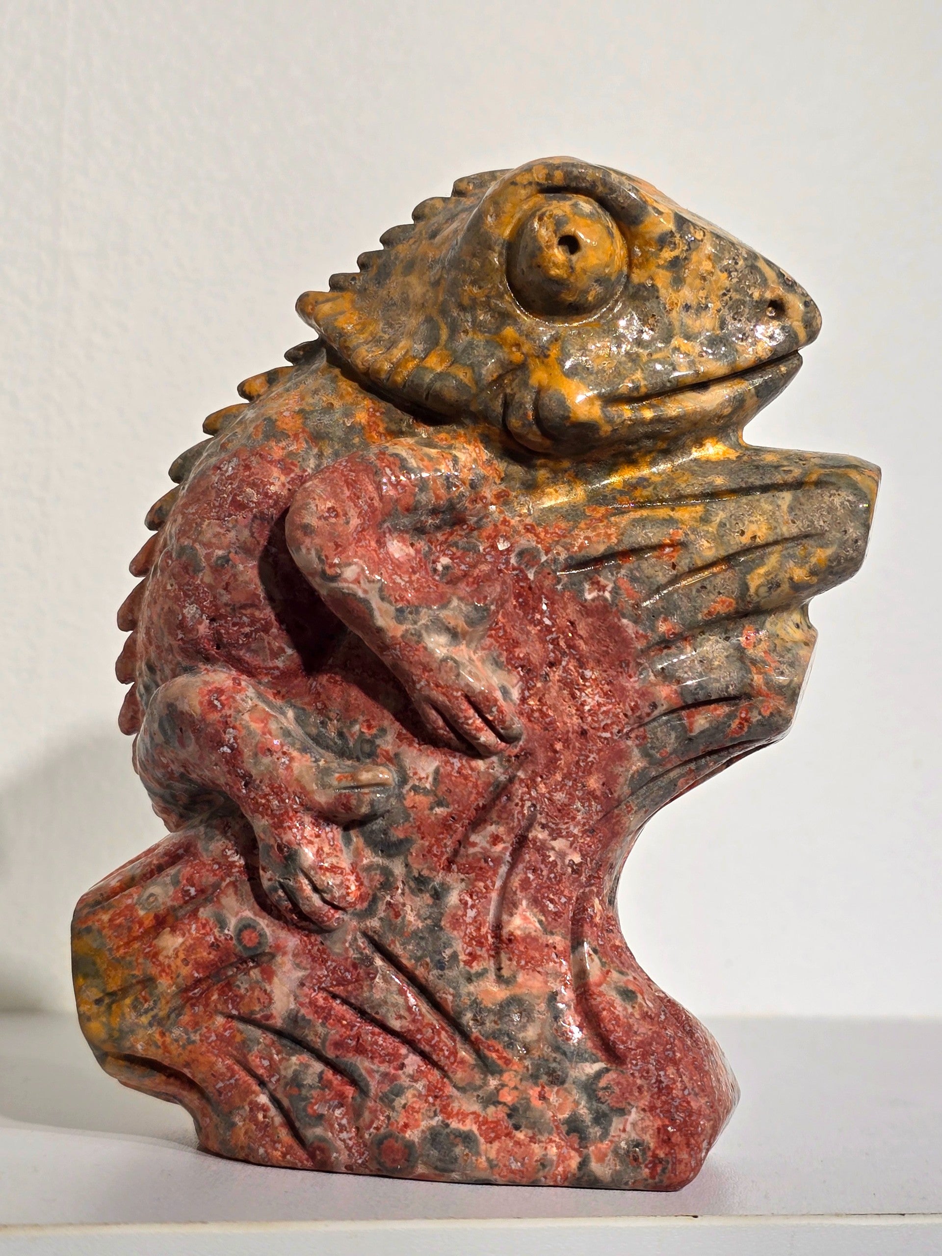 Bird's Eye Rhyolite Chamelion