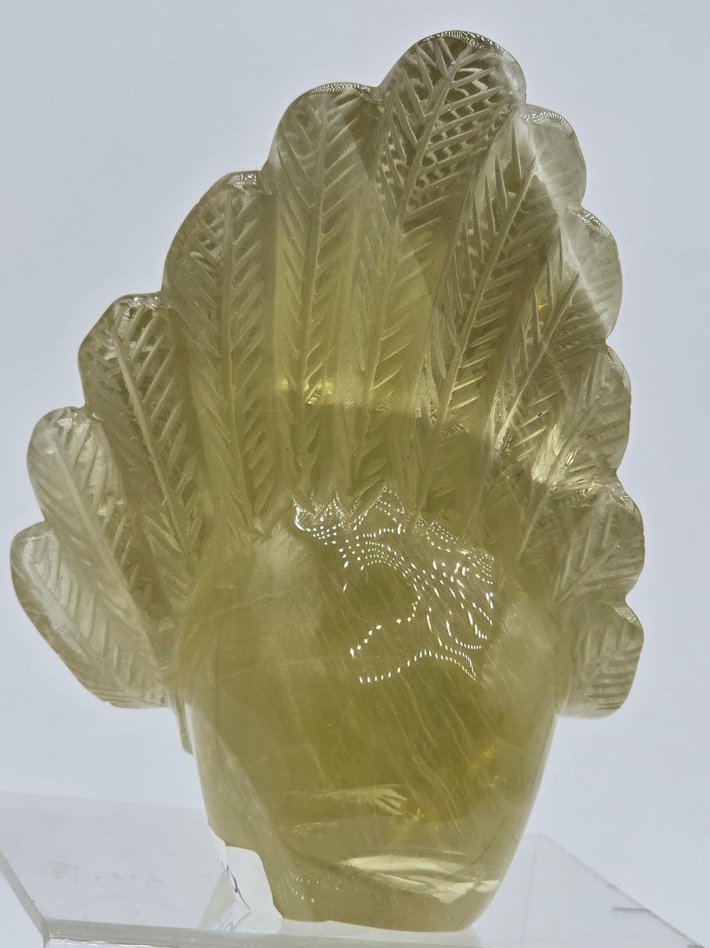 Citrine Feather Headdress Skull Art
