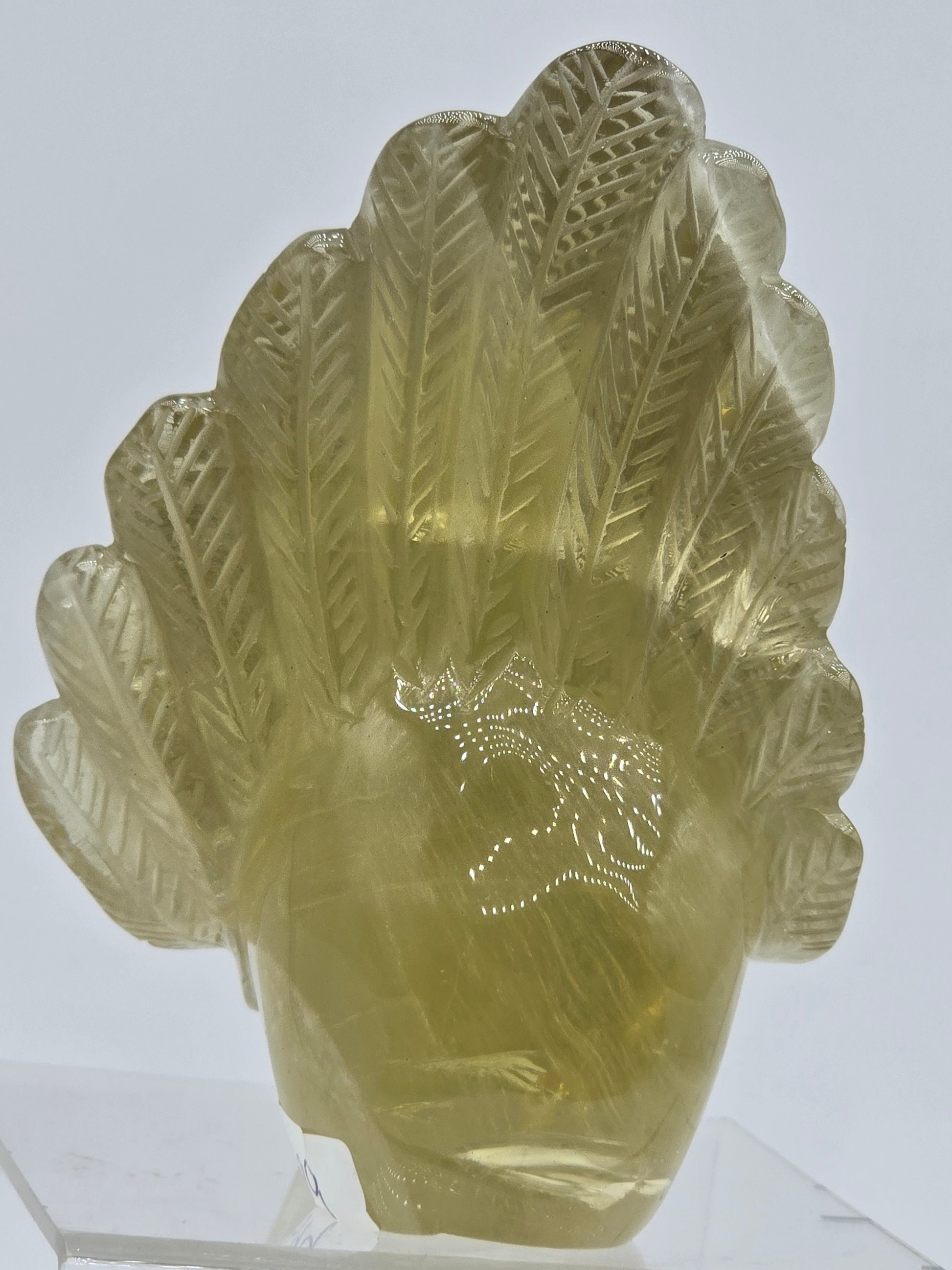 Citrine Feather Headdress Skull Art