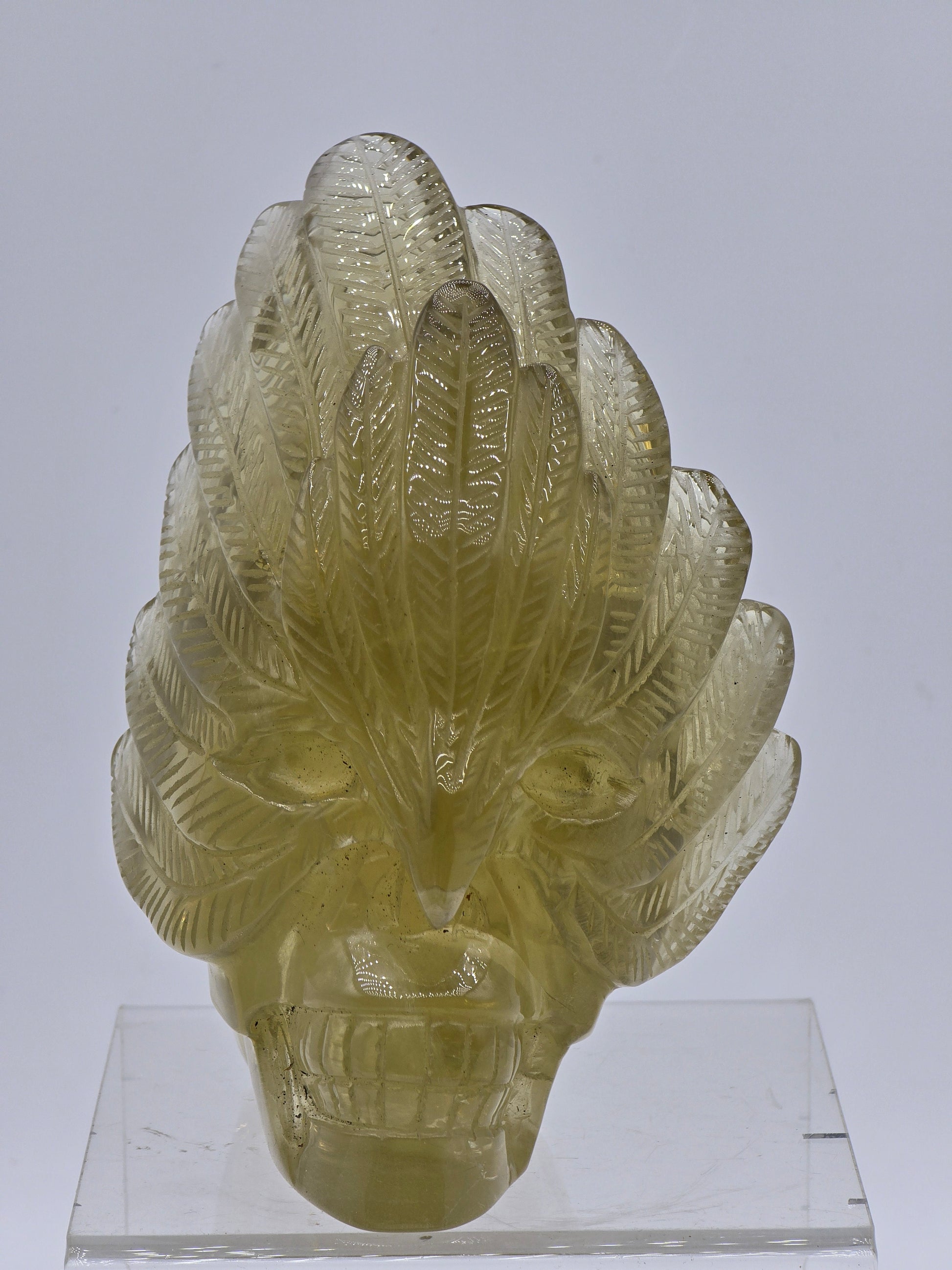 Citrine Feather Headdress Skull Art