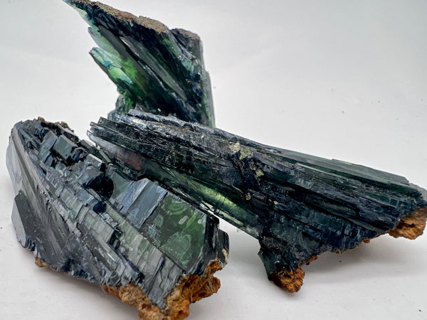 Vivianite Specimens