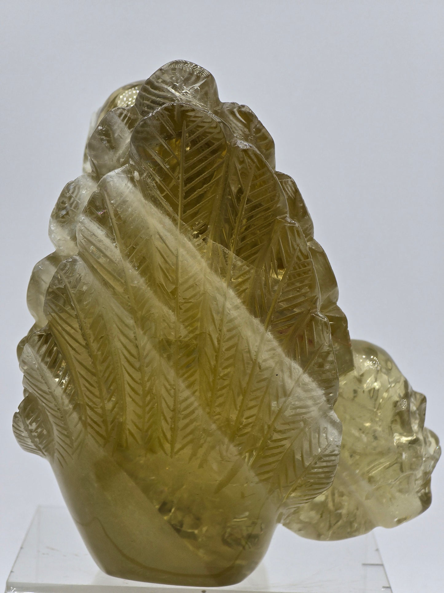 Citrine Feather Headdress Skull Art