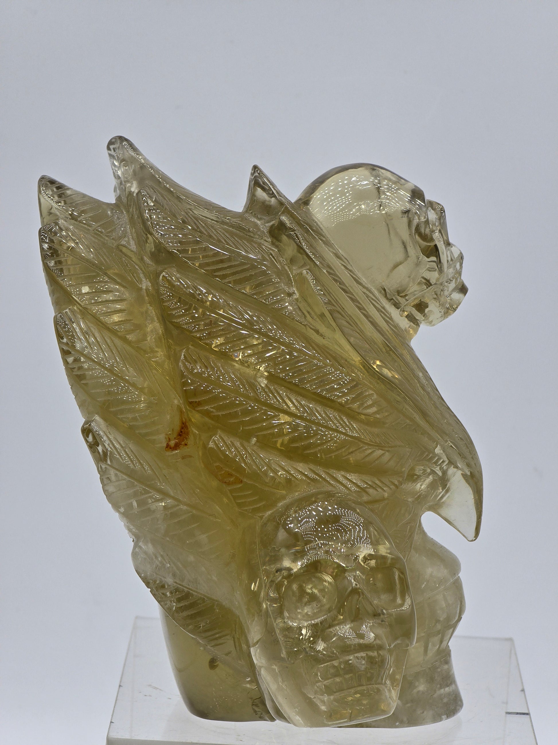 Citrine Feather Headdress Skull Art