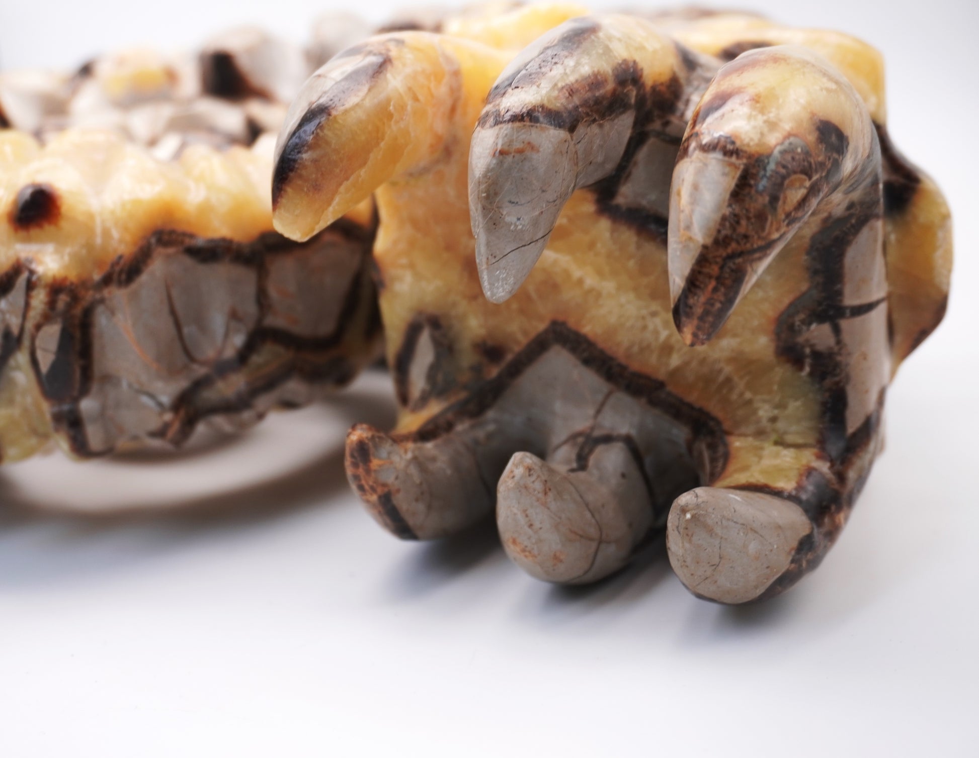 Septarian Ammonite Carving