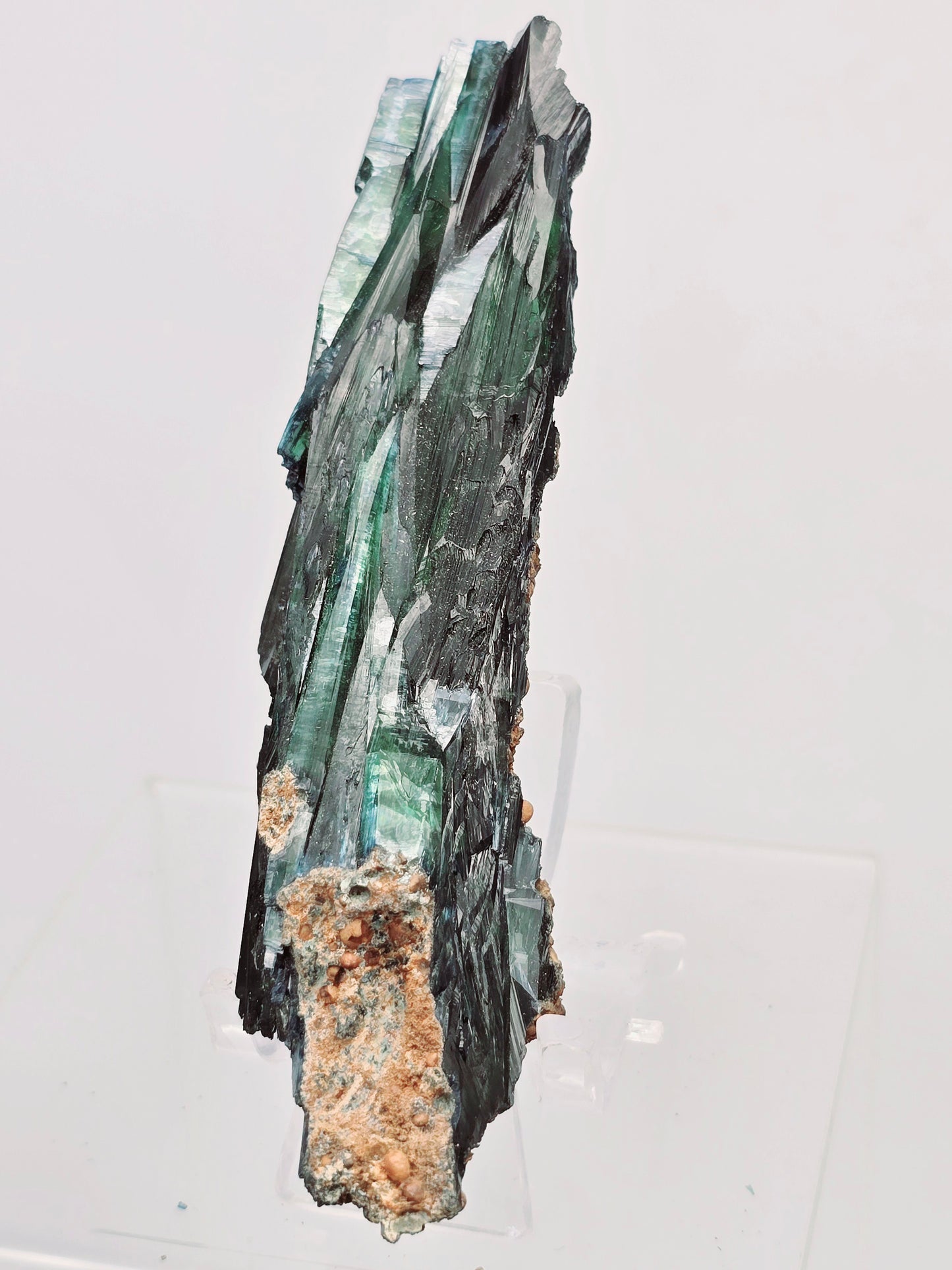 Vivianite Specimens