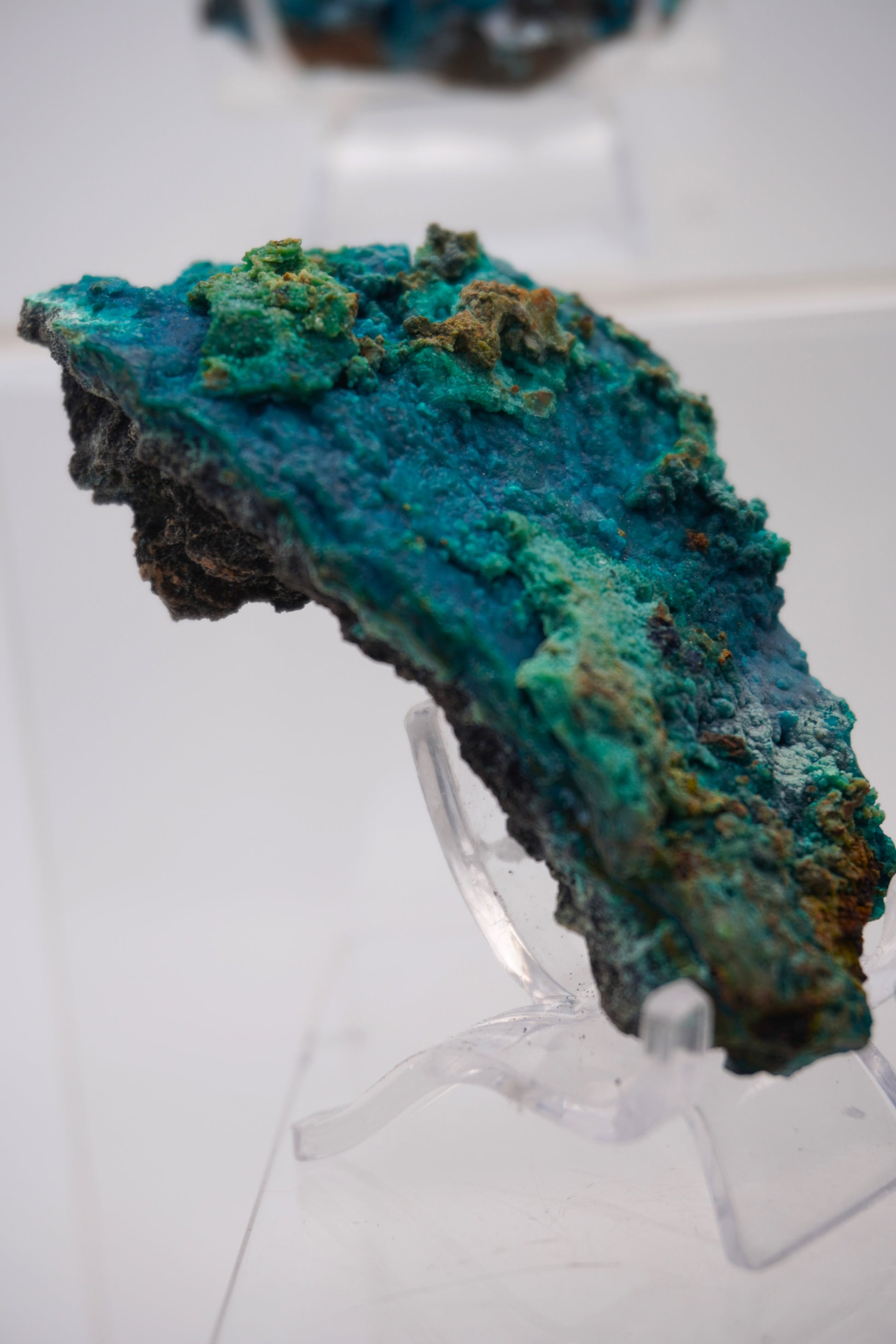 Tentadora Quartz Crystal with Chrysocolla & Malachite specimens