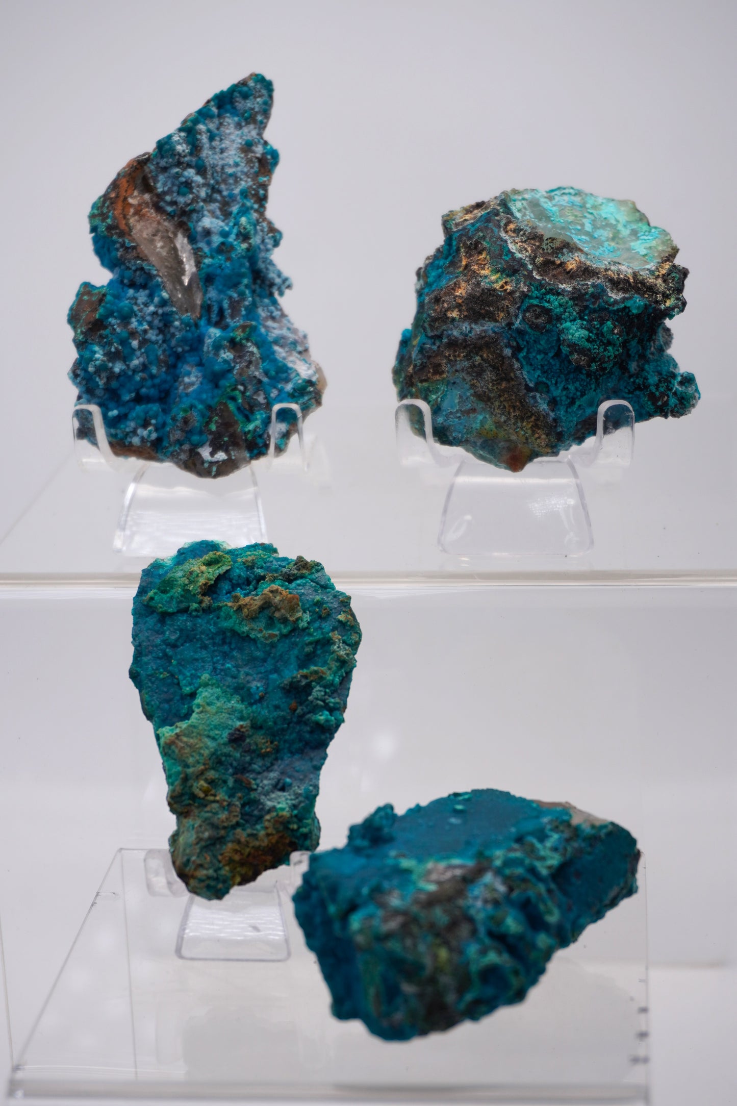 Tentadora Quartz Crystal with Chrysocolla & Malachite specimens