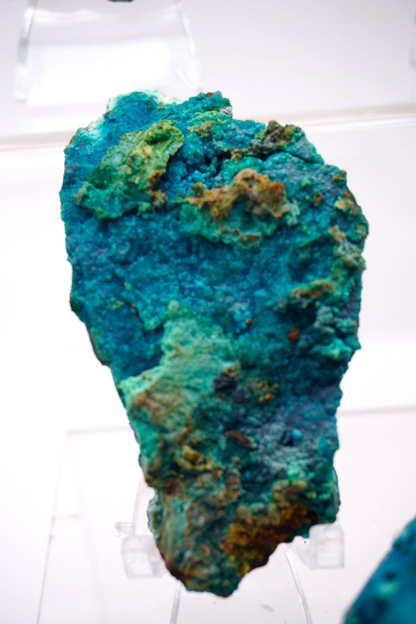 Tentadora Quartz Crystal with Chrysocolla & Malachite specimens