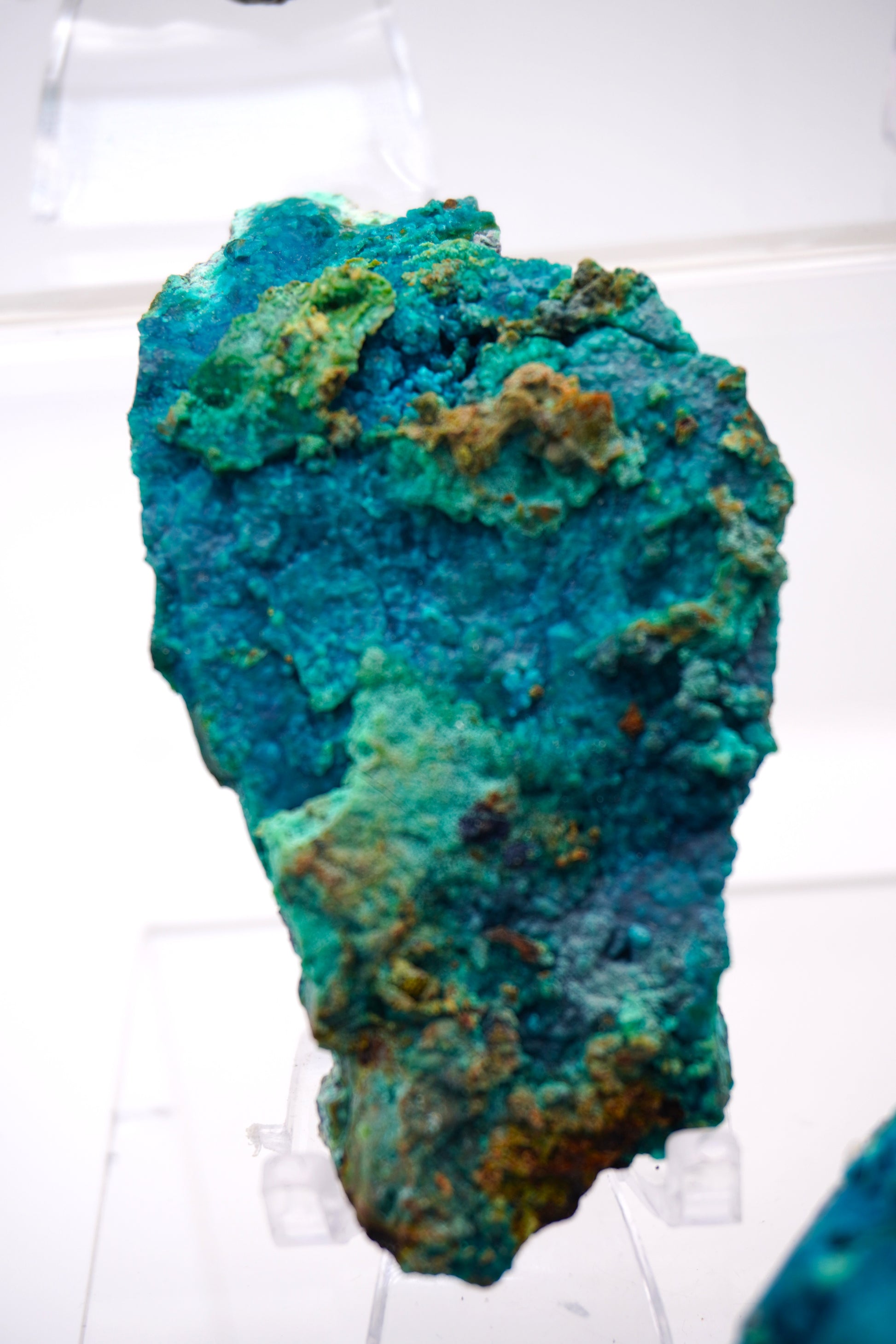 Tentadora Quartz Crystal with Chrysocolla & Malachite specimens