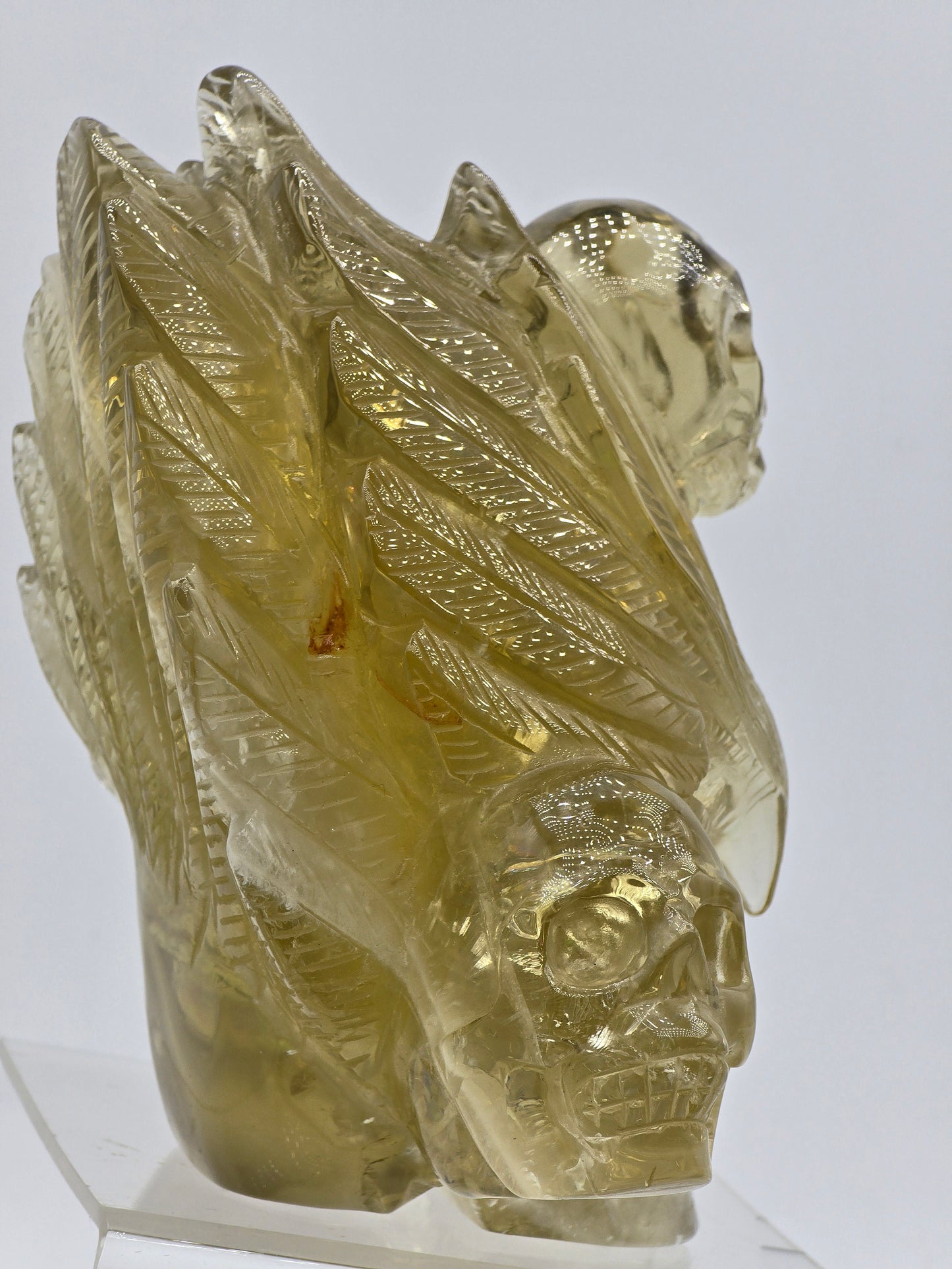 Citrine Feather Headdress Skull Art