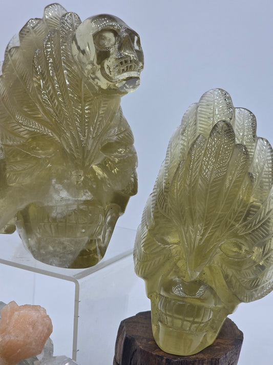 Citrine Feather Headdress Skull Art