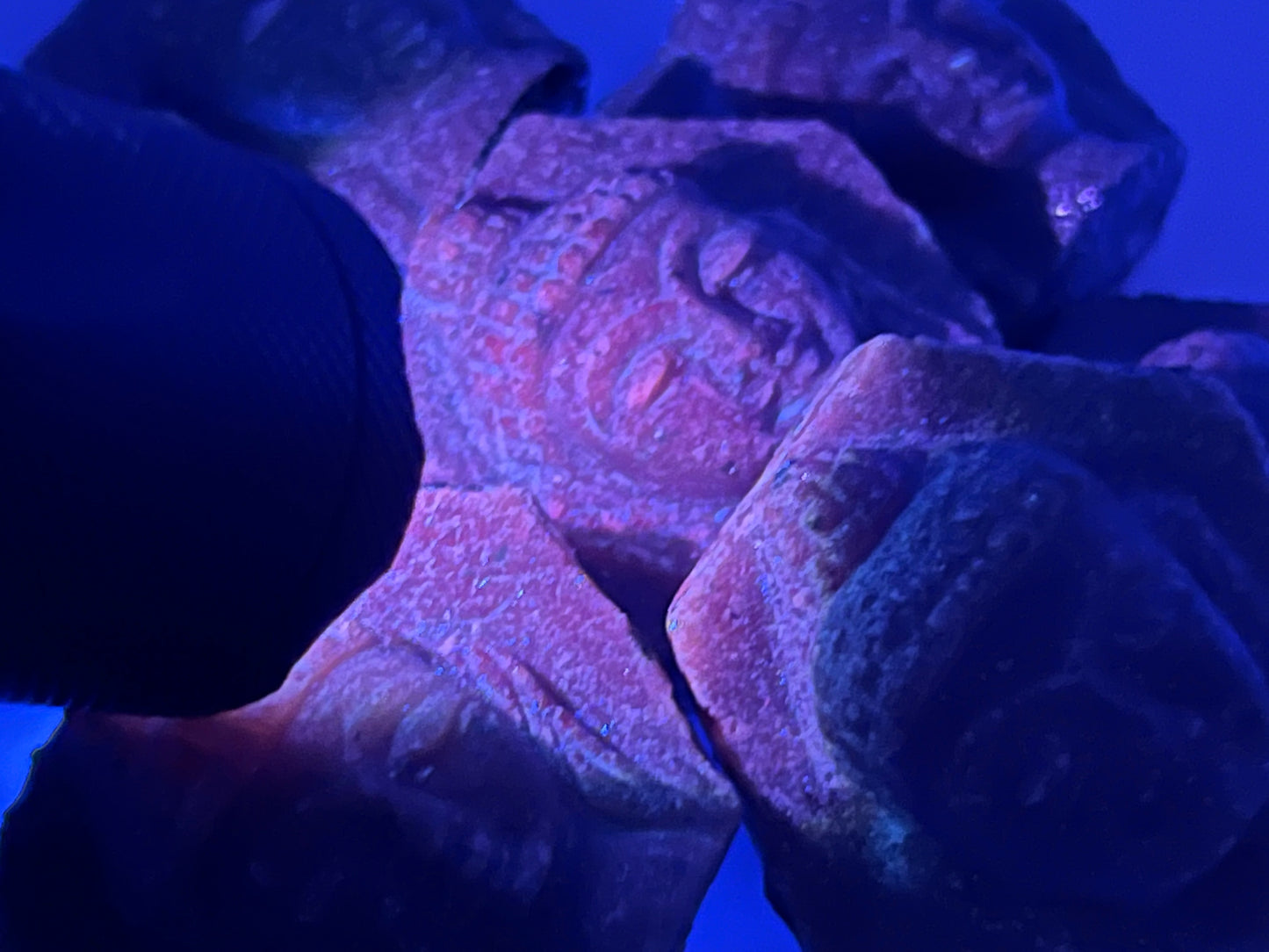 Ruby Record Keeper Etched Buddha UV reactive Talismans